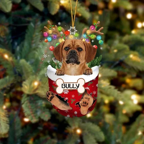 Vista 28 de IZI POD Affenpinscher Adorno de Navidad personalizado para perro, adorno de bolsillo de nieve para perro para árbol de Navidad, adorno acrílico