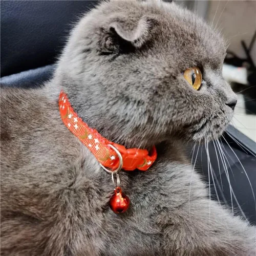 Vista 6 de Collar reflectante para gato, 5 collares de gato separables con lunas de campana, estrellas, lindo gatito, ajustable, de 7.5 a 12.5 pulgadas