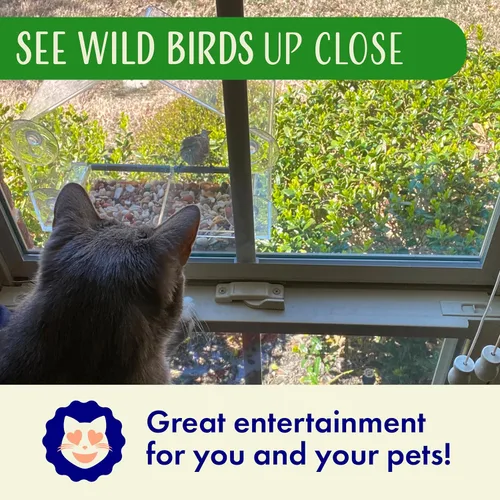 Vista 6 de Comedero para pájaros de ventana con ventosas fuertes, casa transparente