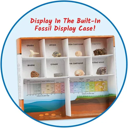 Vista 7 de hand2mind - Kit de excavación de fósiles para excavar y exhibir, vitrina de fósiles, 8 fósiles reales para descubrir, kits de excavación para niños