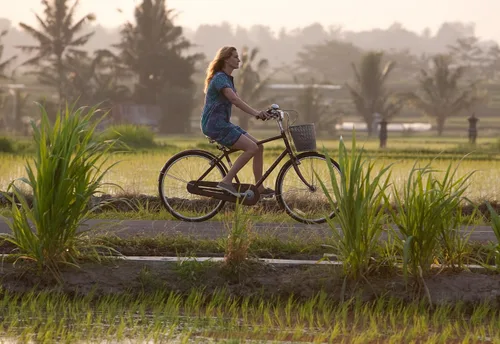 Vista 4 de Eat Pray Love DVDWSNTSC Julia Roberts Javier Bardem James Franco Richard Jenkins Viola Davis