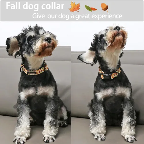 Vista 4 de Aring Pet Collar de algodón, ligero y ajustable, con hebilla de liberación rápida, para perros pequeños, medianos y grandes, otoño, hoja de arce