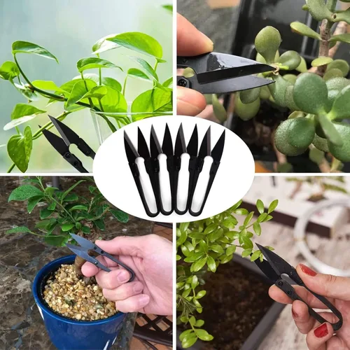 Vista 6 de Tijeras de podar bonsái, 5 piezas, tijeras de podar pequeñas, recortadoras de hojas de brote, tijeras de jardín para plantas, cortadoras