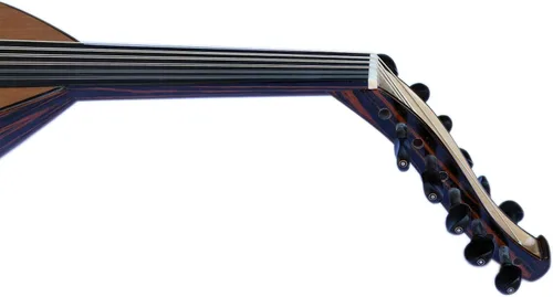 Vista 5 de Especial árabe eléctrico Oud Ud Aoud cuerda musical Oud Instrumento PROUD-5
