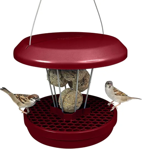 Vista 8 de SWISSINNO Anillo Bloqueador de Aves Grandes, Transparente, Previene que las Palomas, Cuervos y Otras Aves Grandes No Deseadas Asusten a las Aves Más