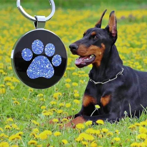 Vista 2 de Etiquetas de perro QR personalizadas para mascotas, etiquetas de identificación de código QR, etiquetas de identificación de mascotas inteligentes