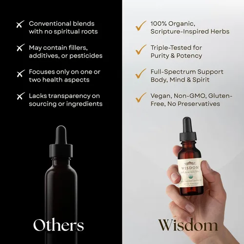 Vista 7 de Cúrcuma orgánica, incienso y mirra – Mezcla de suplementos de hierbas para energía, desintoxicación, enfoque, inmunidad y estrés – Tónico vegano sin