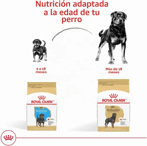 Vista 7 de ROYAL CANIN Rottweiler - Alimento seco para cachorros, bolsa de 30 libras