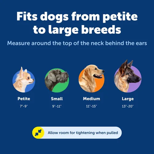 Vista 5 de Collar de la martingala de PetSafe Petite con hebilla rápida instantánea, Púrpura profundo