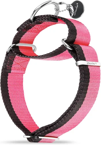 Vista 4 de Collar Martingale de 1.5 Pulgadas de Ancho de Nylon Extra Fuerte 1200D para Perros, Collar para Perros de Servicio Pesado Sin Tirones con Rayas de 2