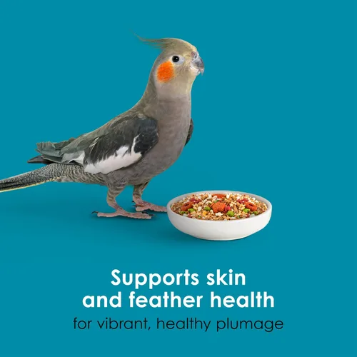 Vista 8 de Kaytee Forti-Diet Pro Salud+Nourish+Protect alimento para periquitos, apoya la cría y la muda, nutrición respaldada por la ciencia, salud digestiva