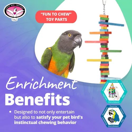 Vista 6 de Super Bird Creations SB466 Mini Triángulo Teaser juguete para loros, cuellos de anillo, conures, cuáqueros, caiques – Enriquecimiento y alivio