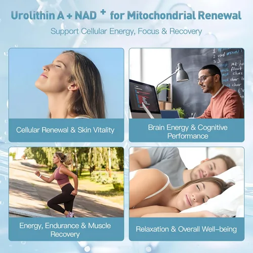 Vista 3 de Suplemento de Urolitina A con NAD+, CoQ10 y PQQ – Antioxidantes y apoyo mitocondrial para vitalidad y envejecimiento saludable – Enfoque