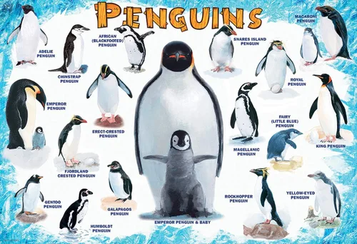 Vista 2 de Pingüinos - Rompecabezas de 100 piezas