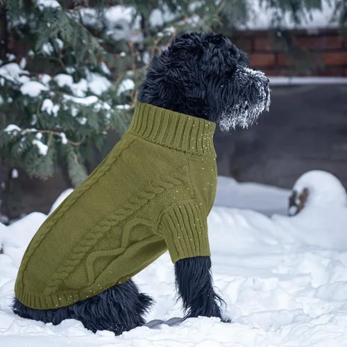 Vista 127 de Queenmore - Suéter de punto trenzado con cuello alto para perros pequeños, para climas fríos, para chihuahua, bulldog, teckel, carlino y yorkie, XS