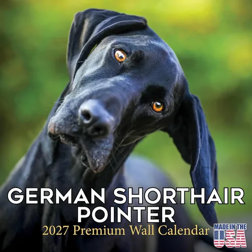 Vista 64 de Calendario de Lebrel Afgano 2025 2026, calendario mensual de pared de raza canina, 12" x 18" abierto, papel grueso sin traspaso, ideal para regalo