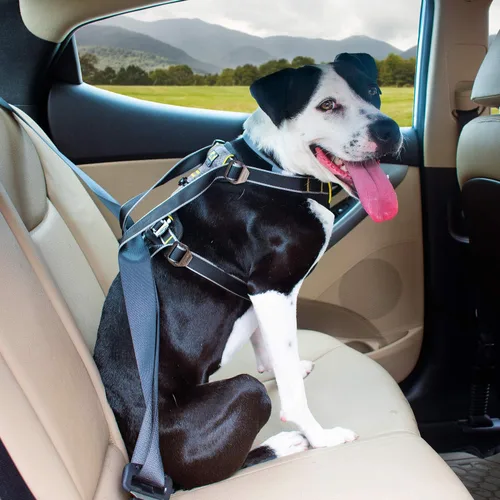 Vista 5 de Kurgo Arnés de automóvil para perro de impacto – Arnés para mascotas a prueba de choques – Seguridad premium para el auto para perro – Soporte