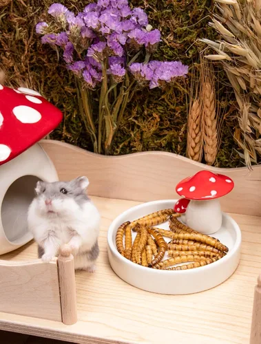 Vista 4 de Niteangel Bocadillos y golosinas para animales pequeños: gusanos secos y sin aditivos