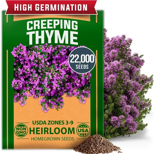 Vista 89 de HOME GROWN Semillas de zinnia rosa – 300 zinnias Luminosa 0.5g, semillas anuales de flores fáciles de cultivar para plantar al aire libre para 2026
