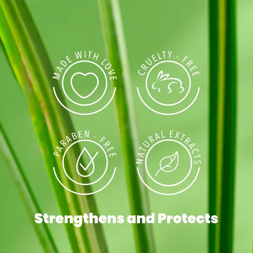 Vista 7 de ANYELUZ Champú capilar de aloe vera, limpiador de cuero cabelludo de limpieza profunda, fórmula de fortalecimiento de biotina, control de grasa
