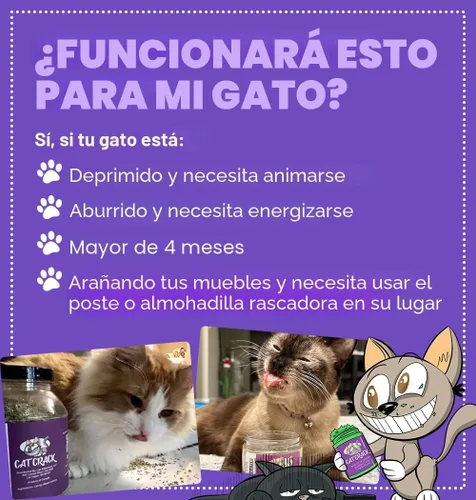 Vista 3 de Cat Crack Hierba Gatera, Mezcla de Hierba Gatera Inductora de Zoomies, Hecha en América del Norte y 100% Natural, Tratamientos de Hierba Gatera