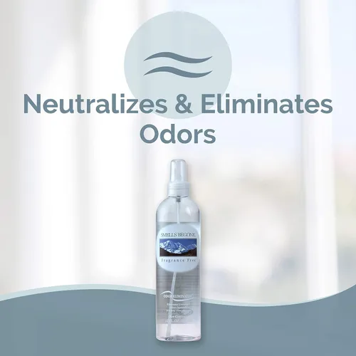 Vista 2 de SMELLS BEGONE Ambientador en aerosol – Eliminador de olores – Elimina olores del humo, botes de basura, mascotas, autos y barcos – Sin fragancia