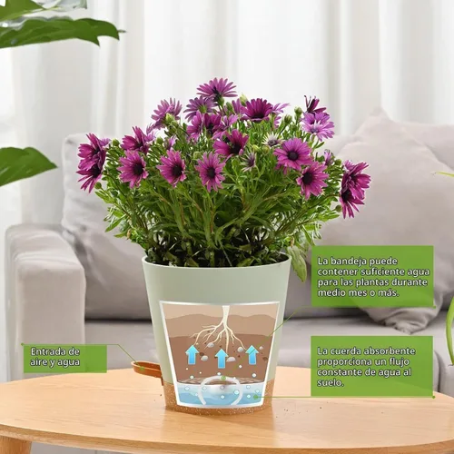 Vista 4 de Macetas para Plantas 6 PCS 5 pulgadas Macetas de Riego Automático Alto Drenaje Maceta de Flores para Plantas de Interior y Exterior con Bandeja