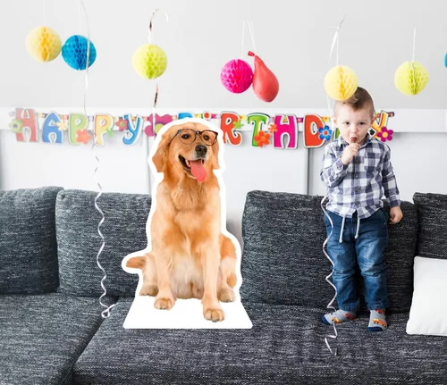 Vista 6 de Recortes personalizados de Coroplast para mascotas de tamaño real de cualquier fotografía, recortes personalizados de cuerpo completo para mascotas