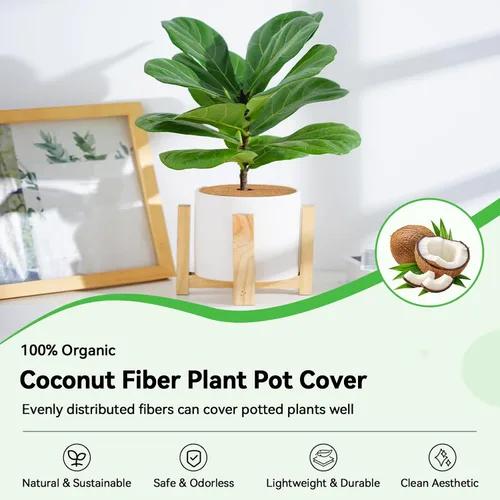 Vista 2 de ZeeDix Pack de 10 anillos de mantillo de fibra de coco, anillo de mantillo de coco coir de 6 pulgadas, protector de árbol 100% natural, anillo