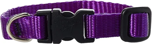 Vista 11 de LupinePet Basics - Collar ajustable rojo de 1/2 pulgadas, 10-16 pulgadas, para perros pequeños