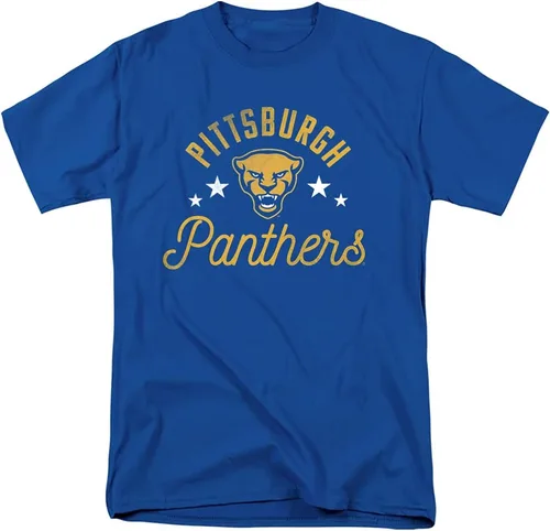 Vista 25 de Collegiate Distressed Mascot Unisex Adult T Shirt Collection 3 Universidad de Adelphi
