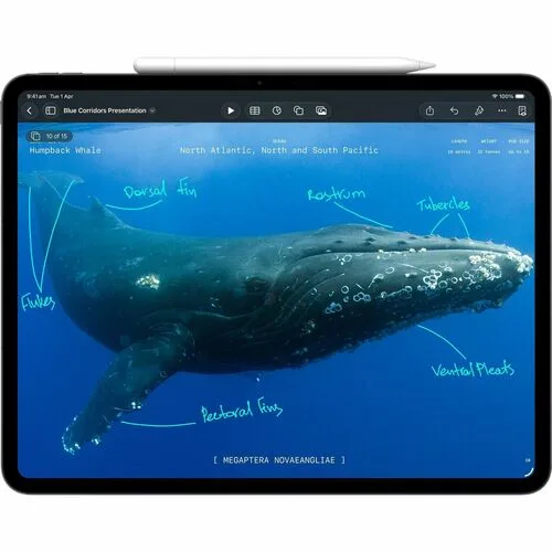 Vista 6 de IPAD PRO 13 WF CL 256GB SBLK-CLA