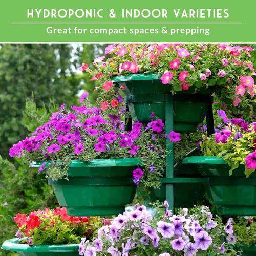 Vista 5 de Kit de semillas de jardín hidropónico e interior - 20 variedades compactas de verduras y hierbas tradicionales Apartamento, espacio pequeño, patio
