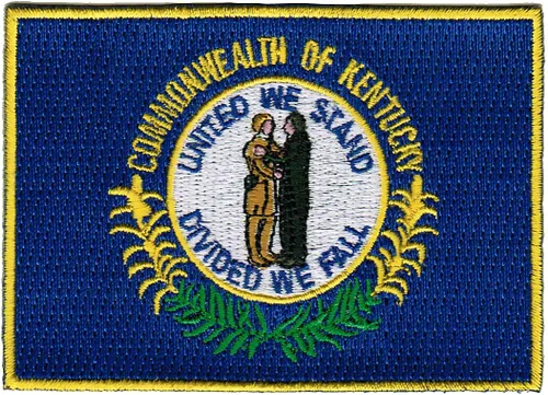 Vista 13 de Parche Bordado de la Bandera del Estado de Minnesota, Emblema MN, Planchado, Versión 2024