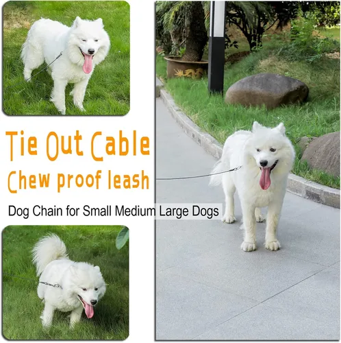 Vista 7 de Cable de amarre para perros, cable de 10 pies para perros, cable de amarre para perros pequeños de hasta 60 libras, correa para perros para patio
