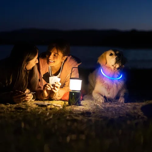 Vista 5 de HIGO Collar de perro con luz LED, recargable por USB, que brilla en la oscuridad, collar de seguridad para mascotas cortable de TPU para pasear Azul