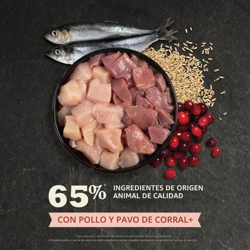 Vista 4 de ACANA Alimento seco para gatos de interior Entrada interior Pollo Pavo