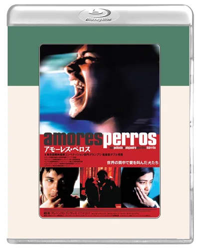 Vista 3 de Amores Perros