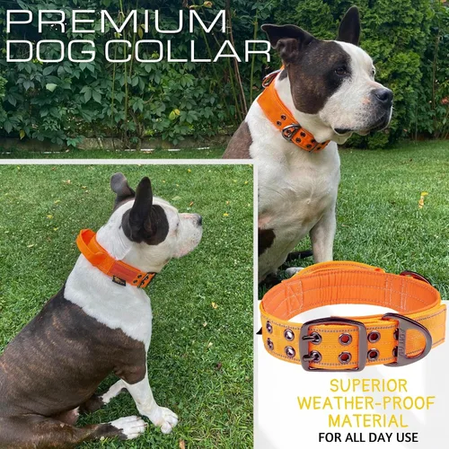 Vista 6 de ADITYNA Collar de perro resistente para perros grandes con mango de tráfico Naranja