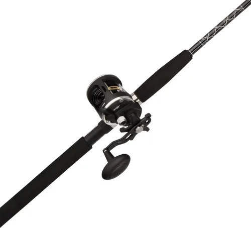 Vista 16 de Penn Rival II Level Wind Conventional Rod and Reel Combo
