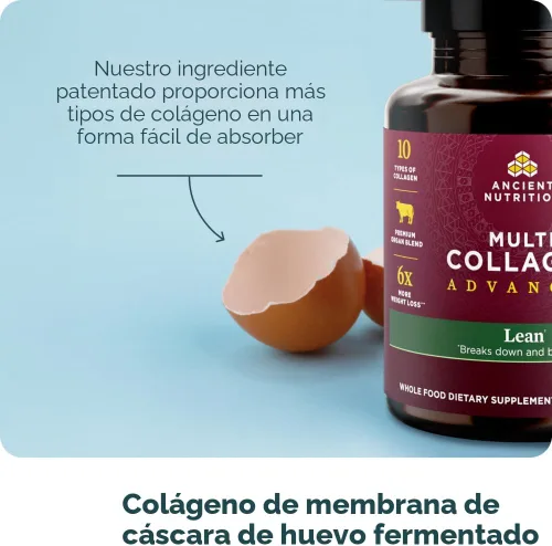 Vista 7 de Ancient Nutrition Multi Collagen Advanced Lean con probióticos, péptidos de colágeno hidrolizados que apoyan la pérdida de peso saludable