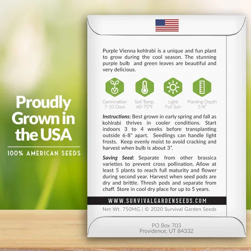 Vista 2 de Survival Garden Seeds - Semilla de colinabo púrpura de Viena para plantar - Paquete con instrucciones para plantar y cultivar verduras crucíferas