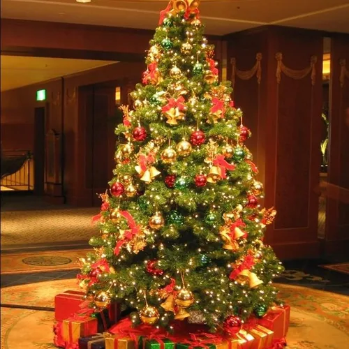 Vista 7 de Dazzle Bright 50 luces LED de Navidad que funcionan con bateo, mini tira de luces impermeables de 16 pies con 8 modos para Navidad, interiores