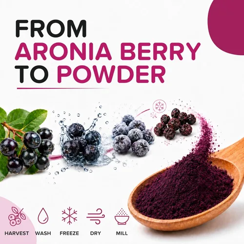 Vista 7 de Polvo de bayas de Aronia natural, superalimento de chokeberry negro, alto en antocianinas y polifenoles, apoya el sistema inmunológico
