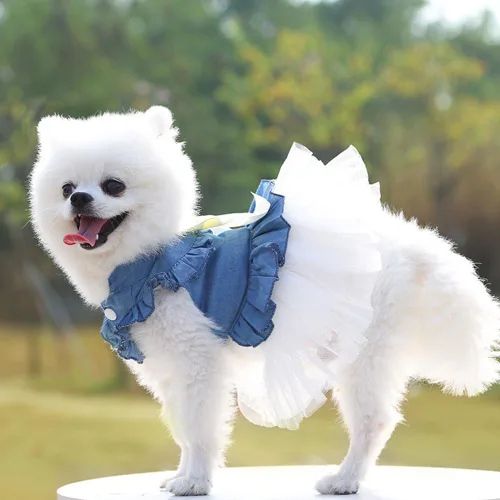 Vista 55 de ANIAC Daisy Vestidos para Perros Pequeños Hembra con Anillo para Correa, Nudo de Lazo Vestido de Boda para Cachorra, Traje de Gato de San Valentín