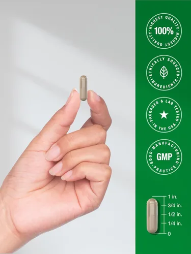 Vista 11 de Horbäach Extracto de Saw Palmetto 120 Cápsulas de Saw Palmetto Berries Fórmula sin OMG y sin gluten