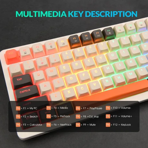 Vista 7 de Rii RK909 Wired Mechanical Gaming Keyboard, Blue Switches, 100 Keys, 20 Modes LED Backlighting,Keyboard for PC GamersMacWindowsChromeLinux