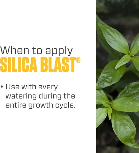 Vista 5 de Botanicare SILICA BLAST suplemento de planta fórmula 0-0-0.5, 1 galón, Sencillo