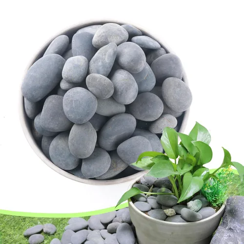 Vista 12 de Piedras de río de 2.4 libras para plantas y suculentas, paisajismo decorativo al aire libre y rocas de jardín de acuarios