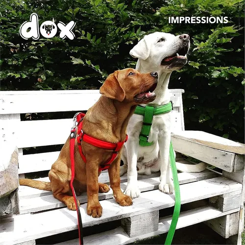 Vista 5 de DDOXX Arnés para perros para razas pequeñas, resistente, ajustable, a prueba de escapes, XS en naranja, ligero, transpirable, hebilla de seguridad